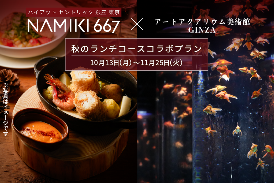 ＜期間限定＞ ハイアット セントリック 銀座 東京「NAMIKI667」秋のランチコースセット券