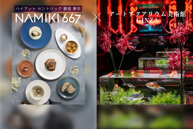 ハイアット セントリック 銀座 東京「NAMIKI667」秋のランチコースセット券