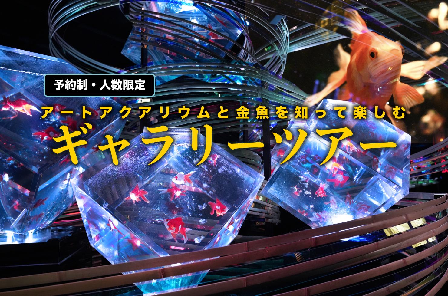 ギャラリーツアー付 入場券