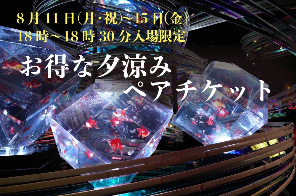 〈期間限定販売〉〈18時～18時30分ご入場〉 夕涼みペアチケット　※1日100組限定