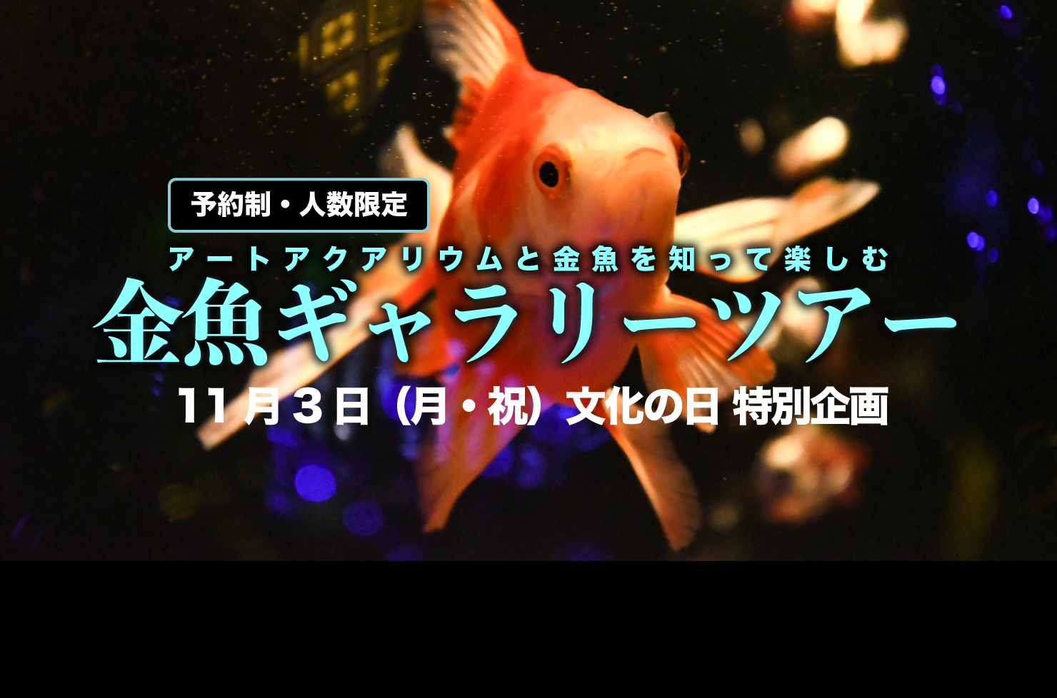 ギャラリーツアー付き入場券