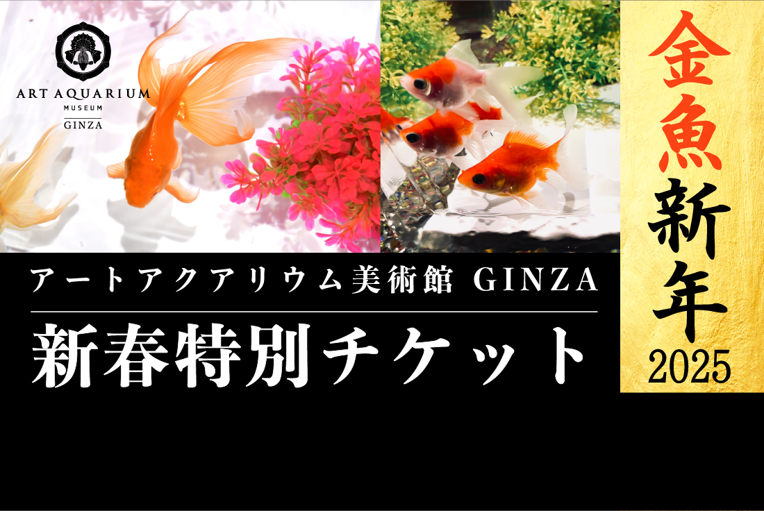 「開運」新春特別チケット