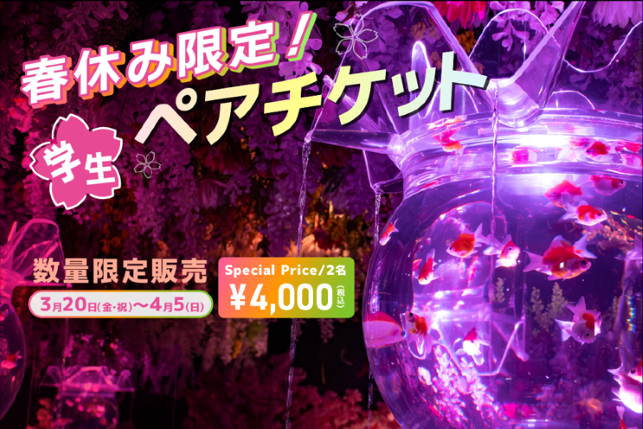 春の学生ペアチケット