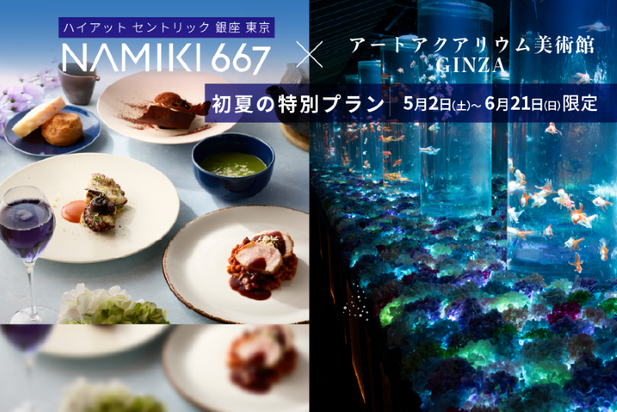 ＜期間限定＞ ハイアット セントリック 銀座 東京「NAMIKI667」初夏の特別ランチコースセット券