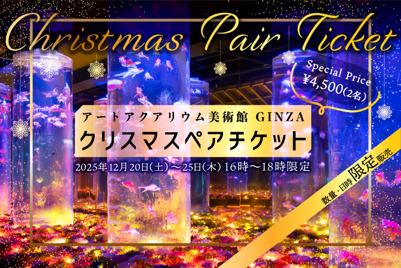 クリスマスペアチケット