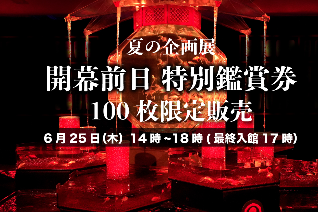 〈日時限定〉 夏企画開幕前日　特別鑑賞券