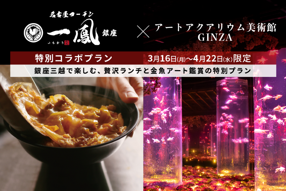 ＜期間限定＞銀座三越 一鳳 銀座のランチセット券